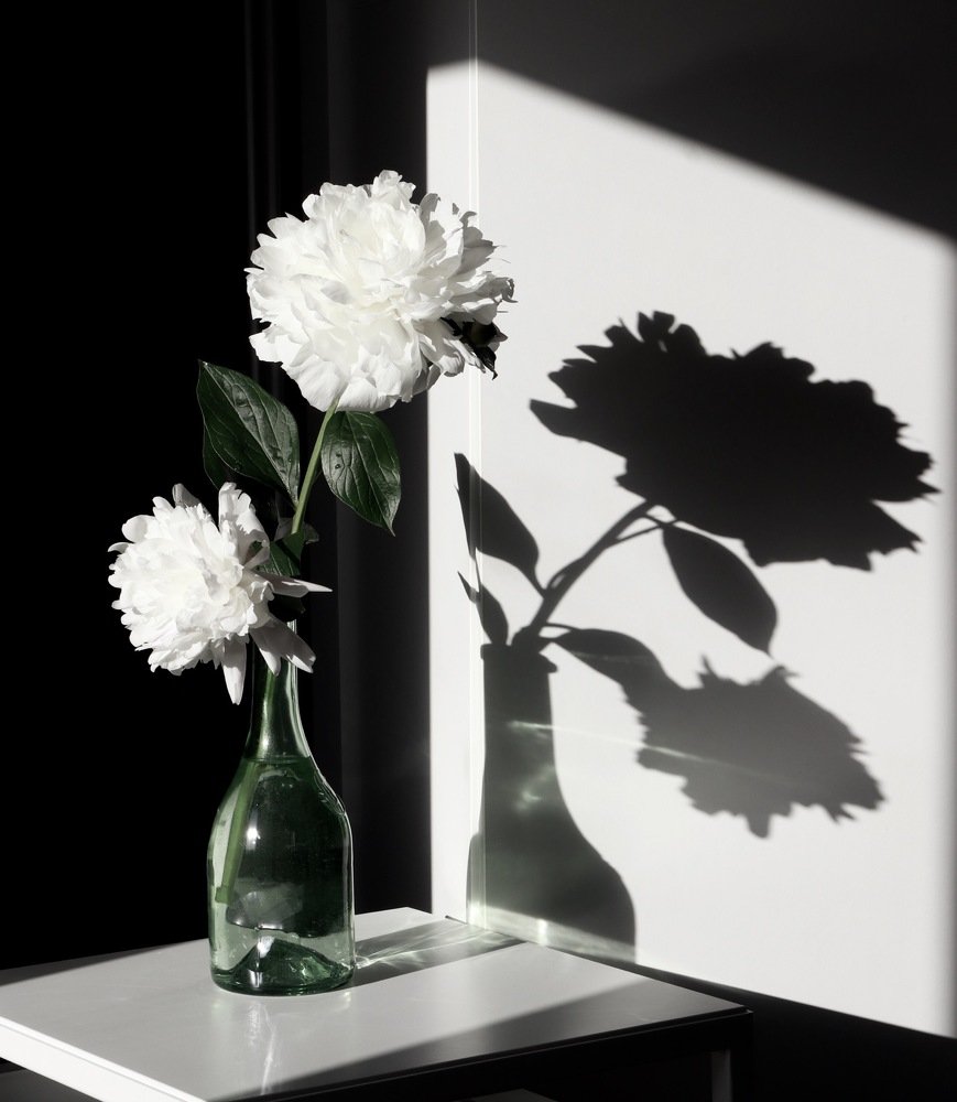 Photograph by Евгения Гудкова