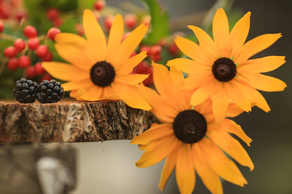 Photograph by Анастасия Кочеткова