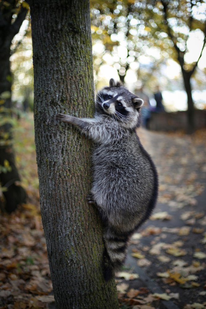 Photograph by Анастасия Кочеткова