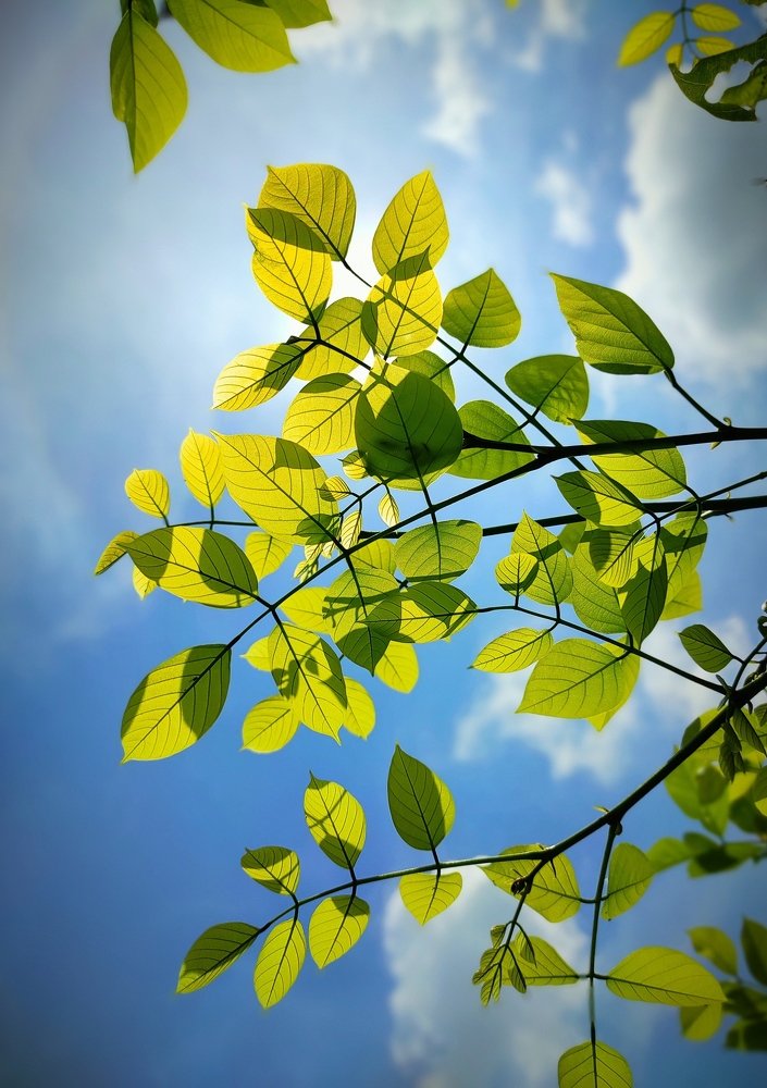 Фотография автора Parag Purkar