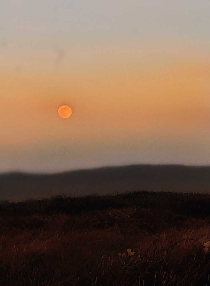 Photograph by Cheri Shelton
