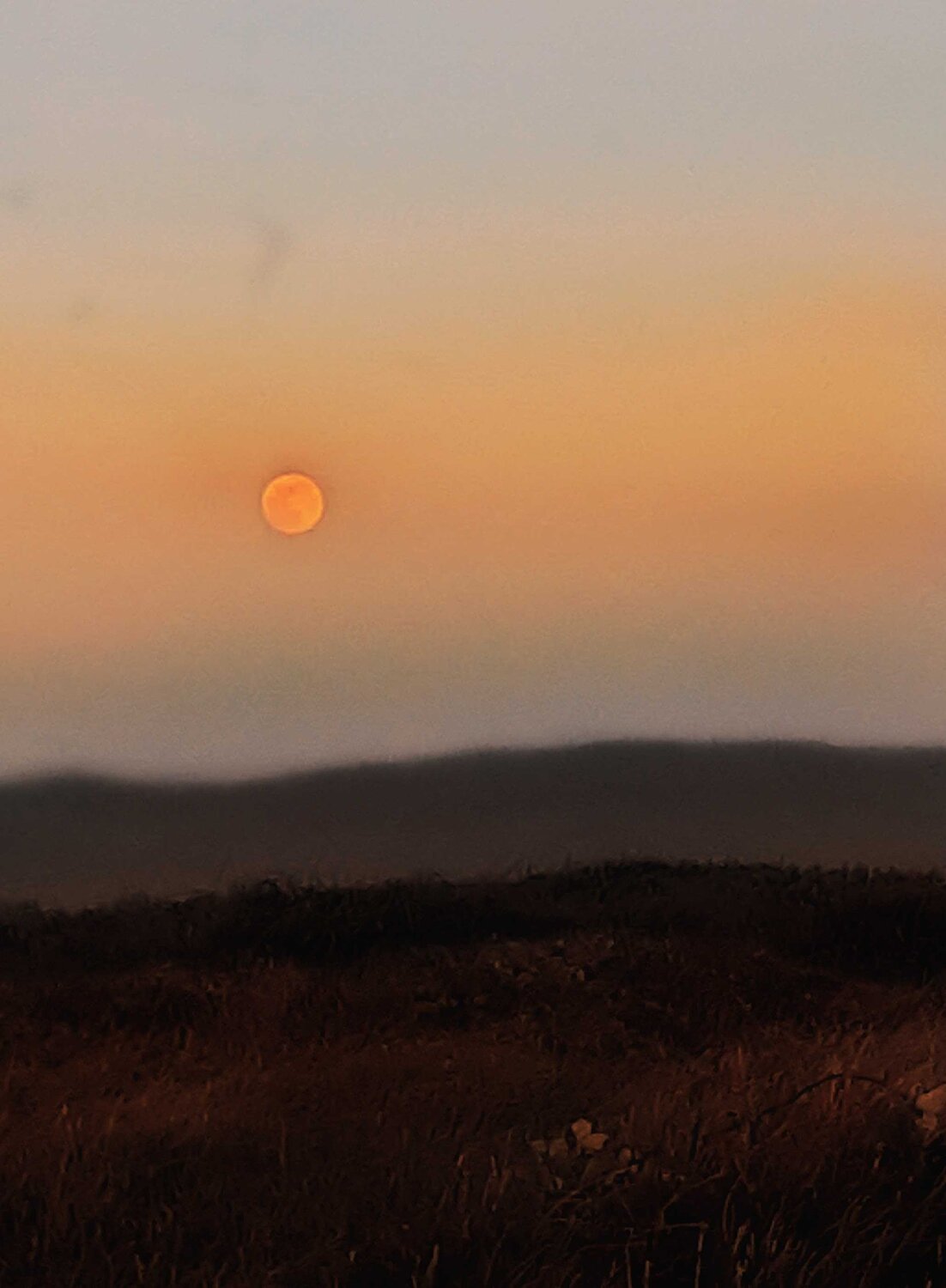 Photo #4805801