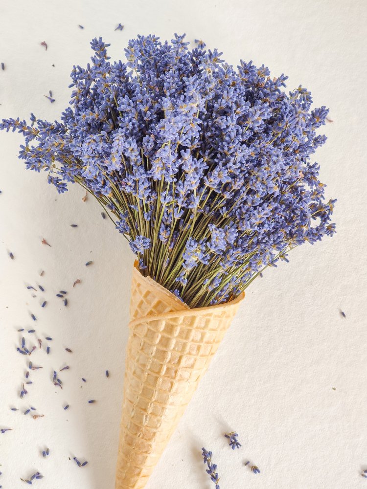 Photograph by Елена Башмакова