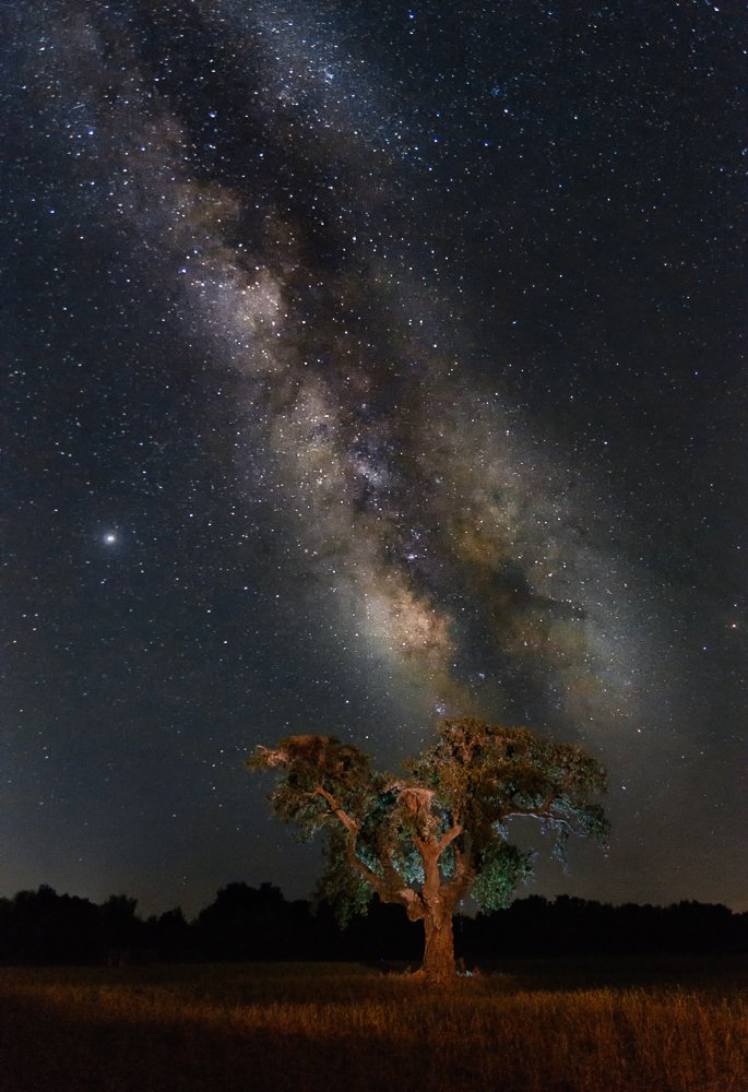 Photograph by Luis Miguel Rivas