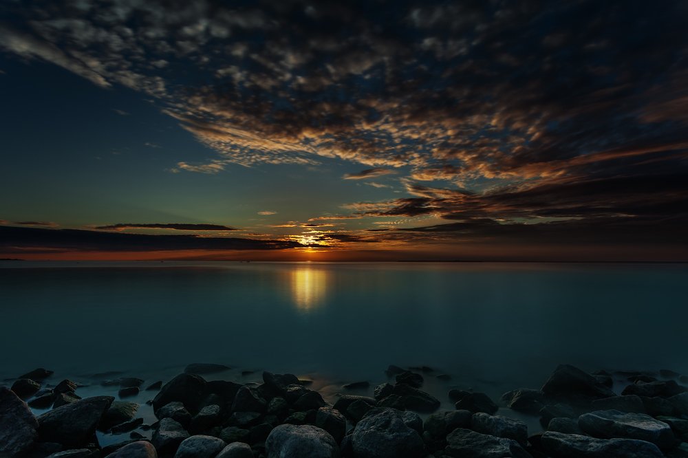 Залив. Июнь.