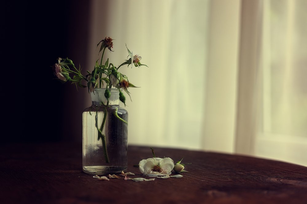 Photograph by Александра Каптелинина