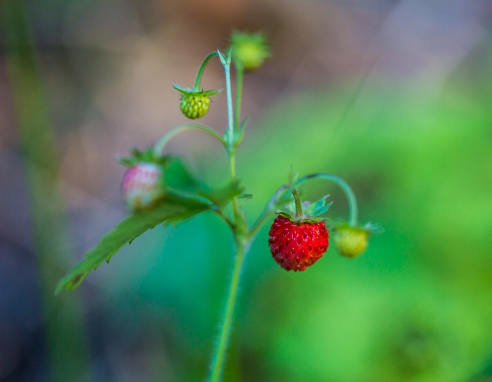 Photograph by Сергей Логвин