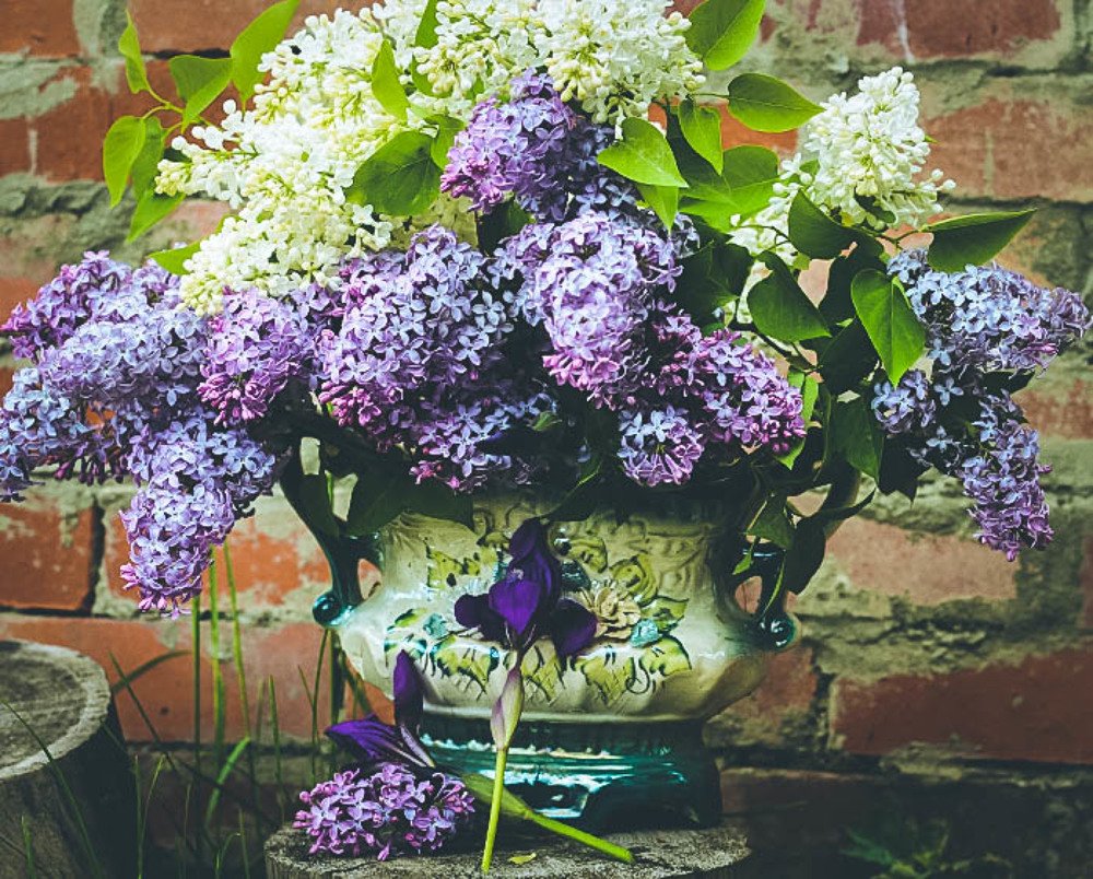 Photograph by Татьяна Гатиятуллина