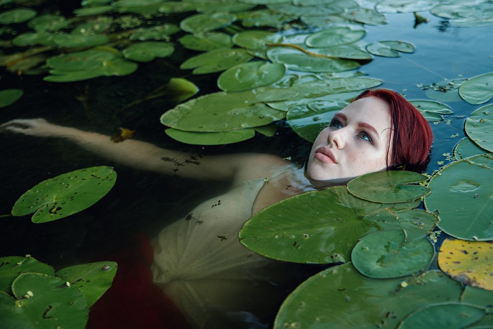 Фотография автора Дмитрий Явр