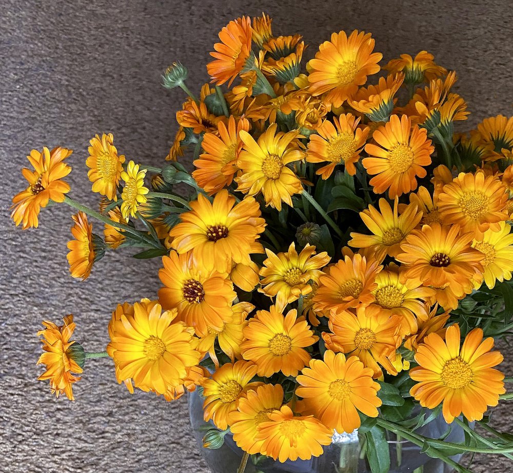 Photograph by Сергей Рубан