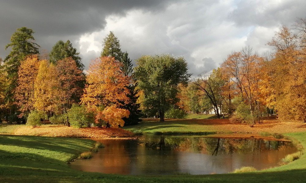 Жёлто-зелёная осень