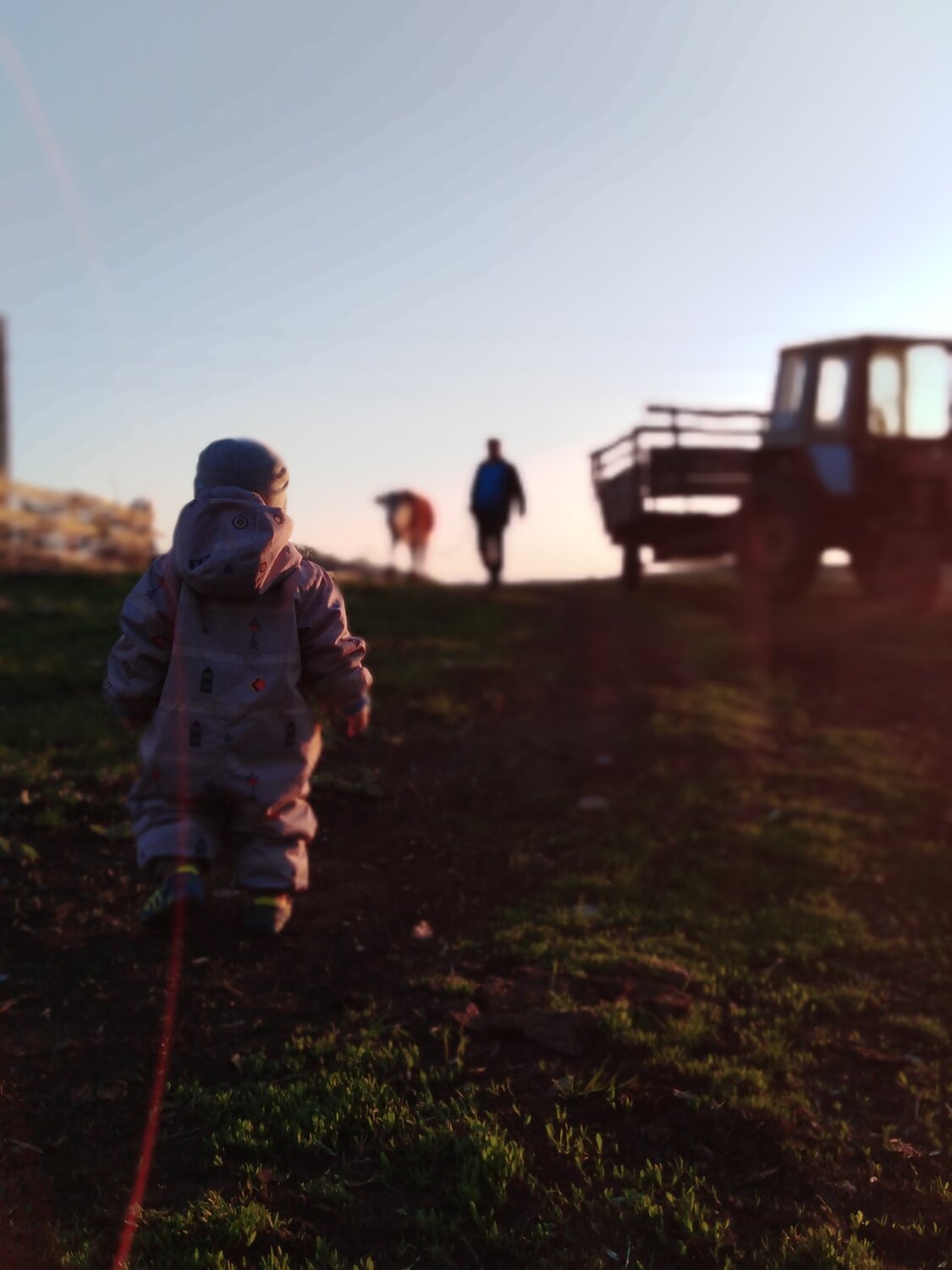 Photo #4806290
