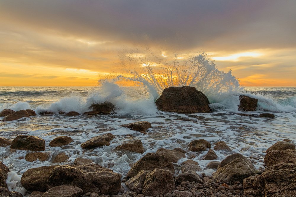 Цветы моря.