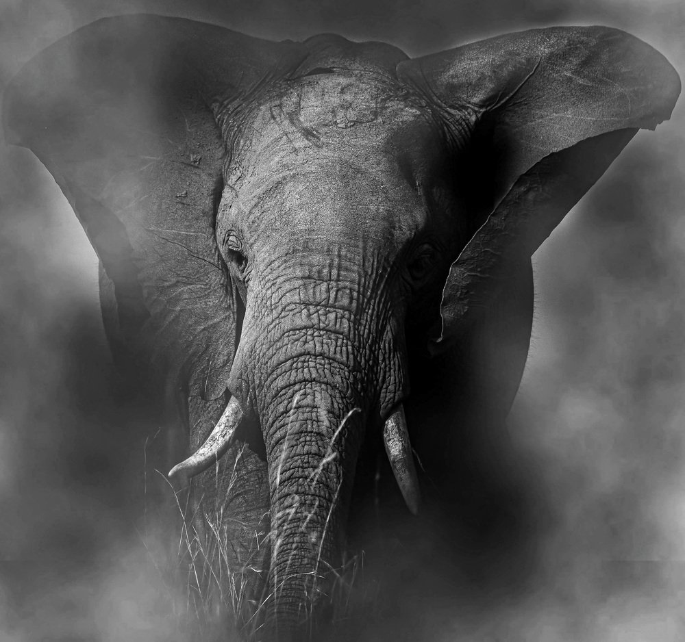 Photograph by Harshul Thacker