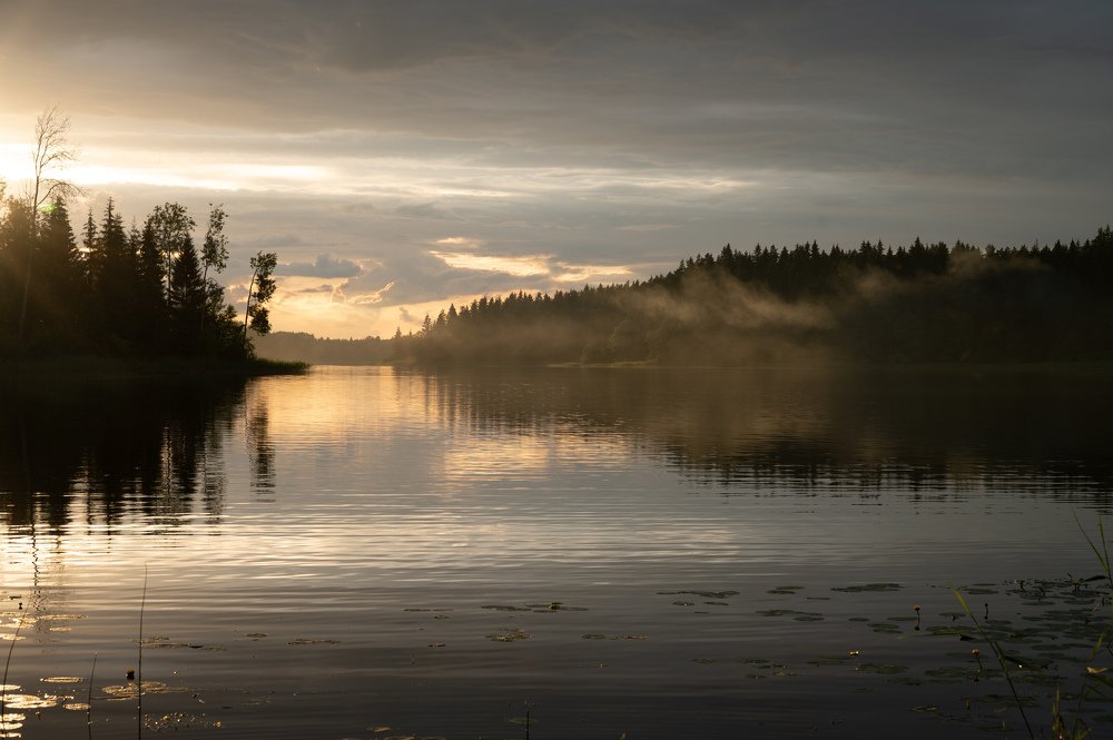 Photograph by Инна Хазанджи