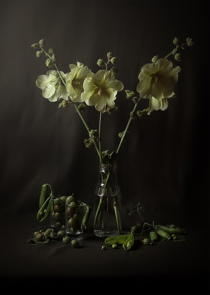 Photograph by Татьяна Самойлова