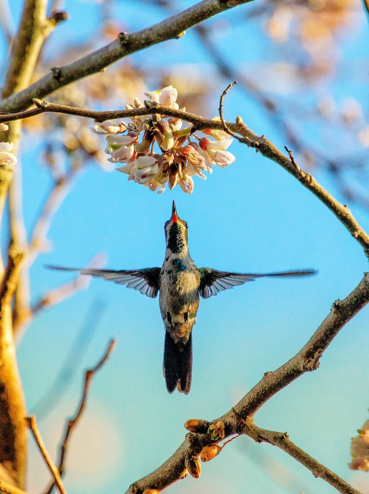 Photograph by Mizael Palomeque