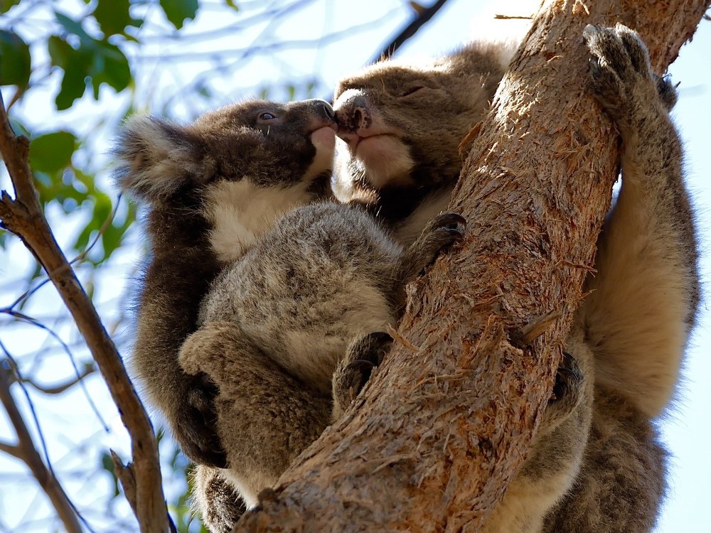 Photograph by Serge Melesan