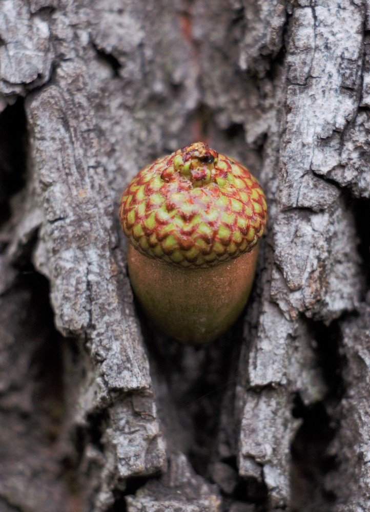 Photograph by Людмила Бутова