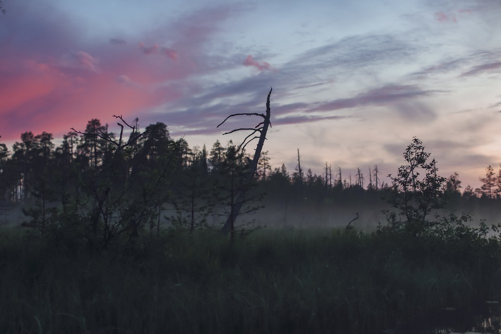 Photograph by Полина Нечаева