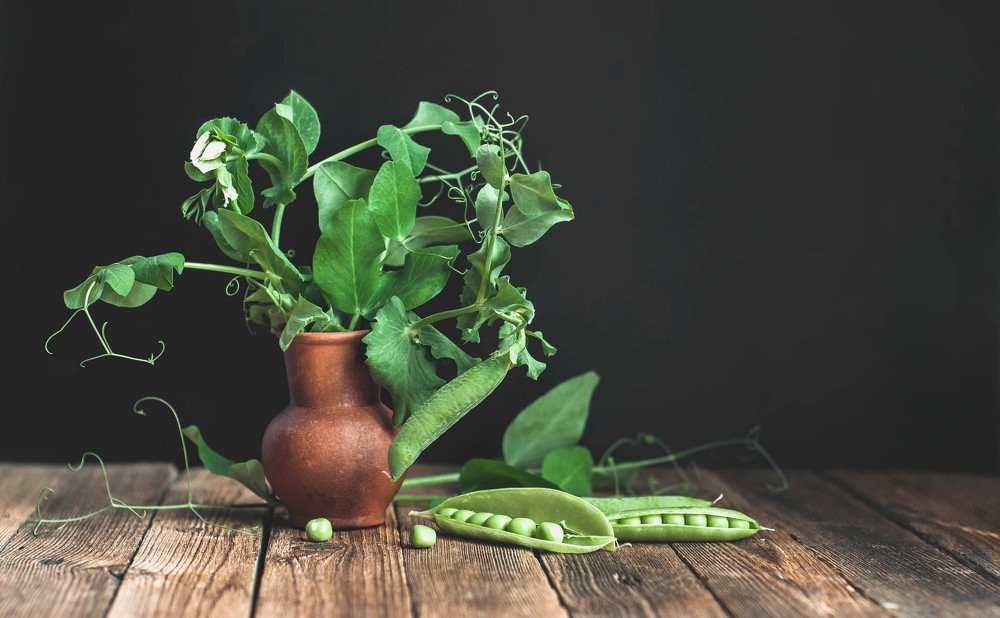 Photograph by Елена Мирзоева