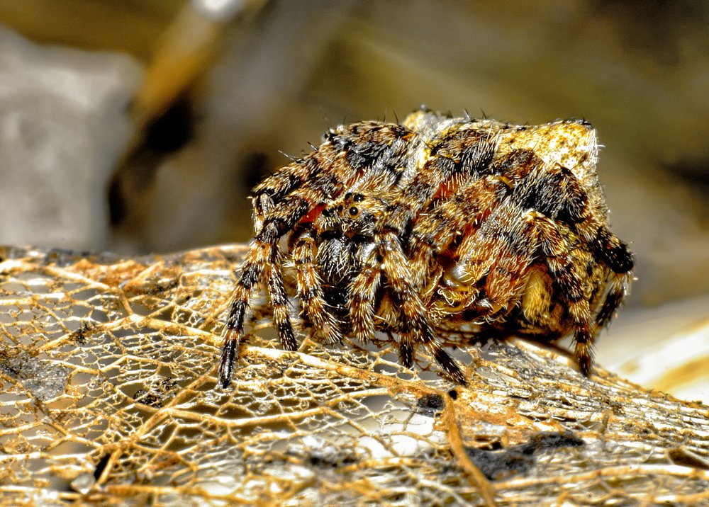 Фотография автора Игорь Иванов