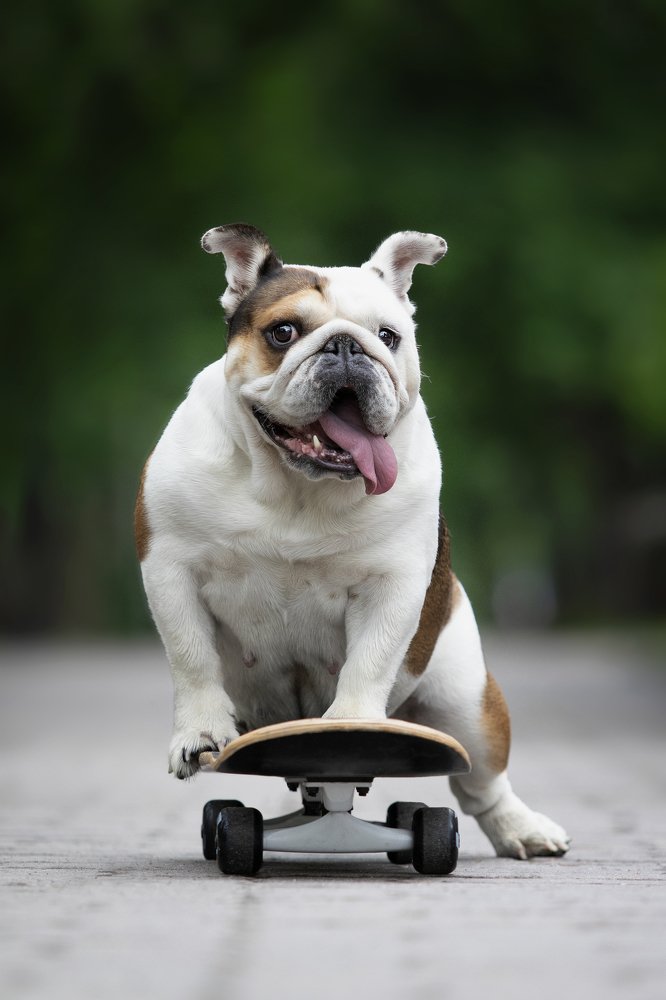 Photograph by Алена Райфутдинова