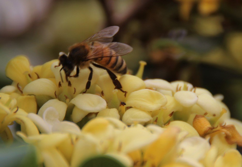 Photograph by Людмила Бутова