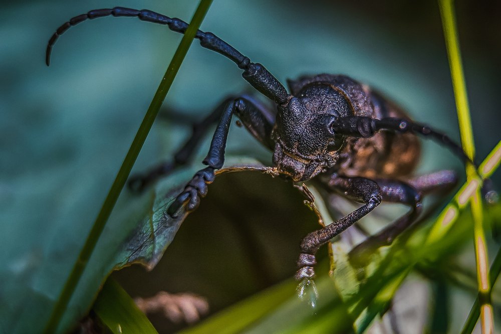 Photograph by Сергей Фомченков