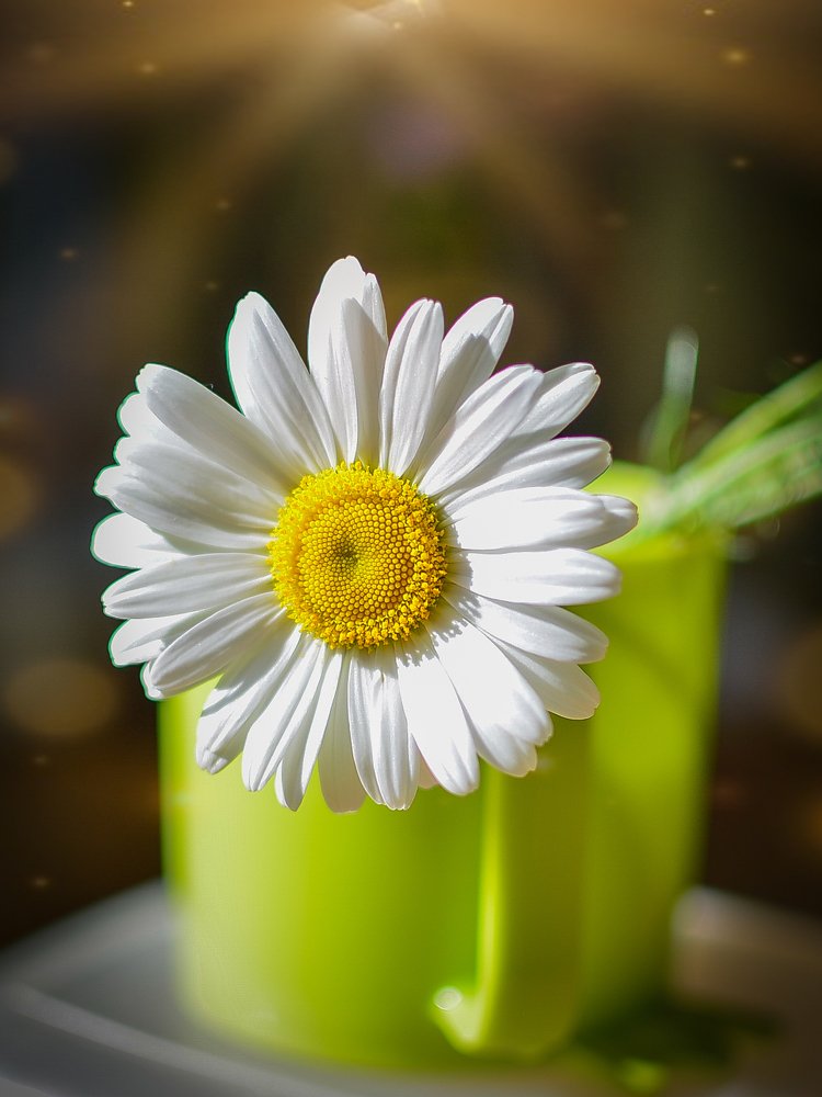 Photograph by Сергей Глухарев