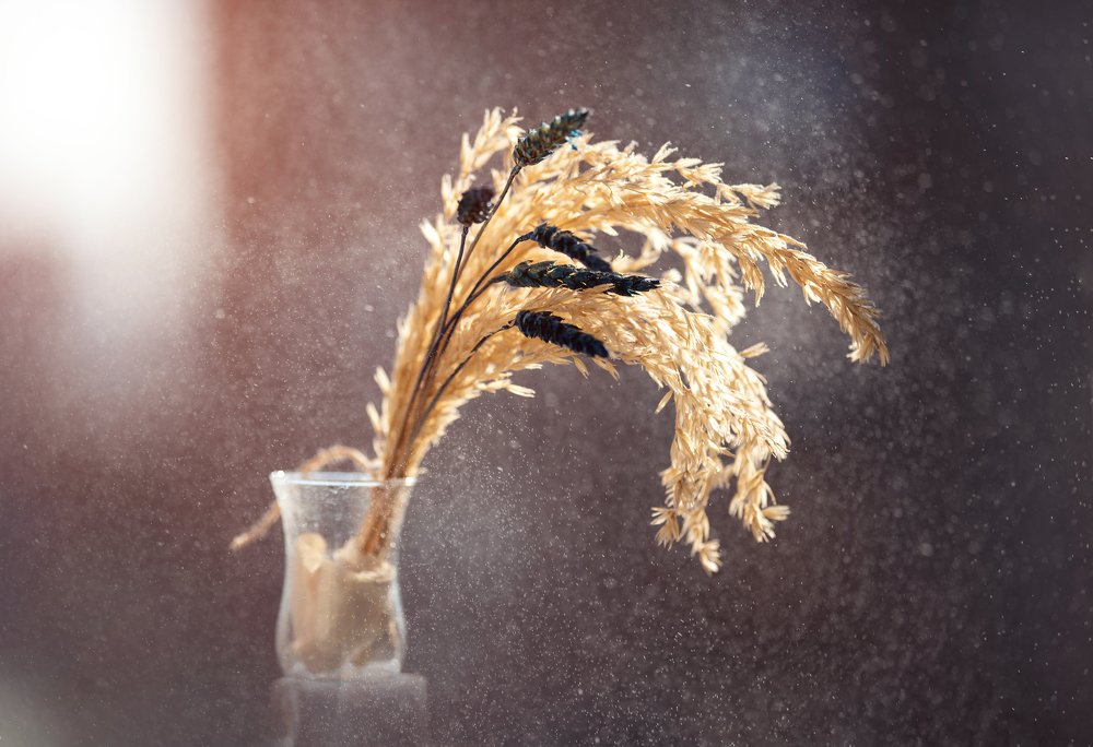 Photograph by Наталья Свинарёва