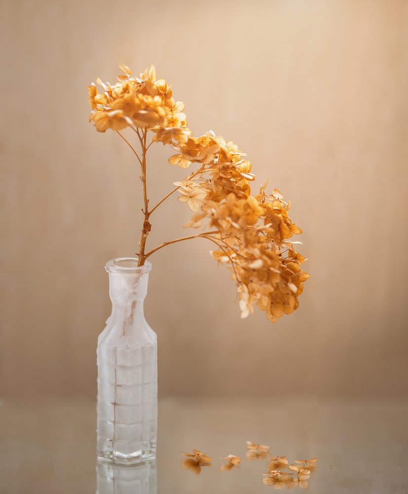 Photograph by Наталья Свинарёва