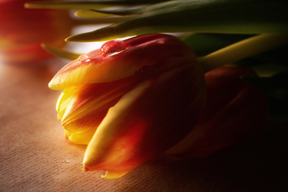 Photograph by Наталья Свинарёва