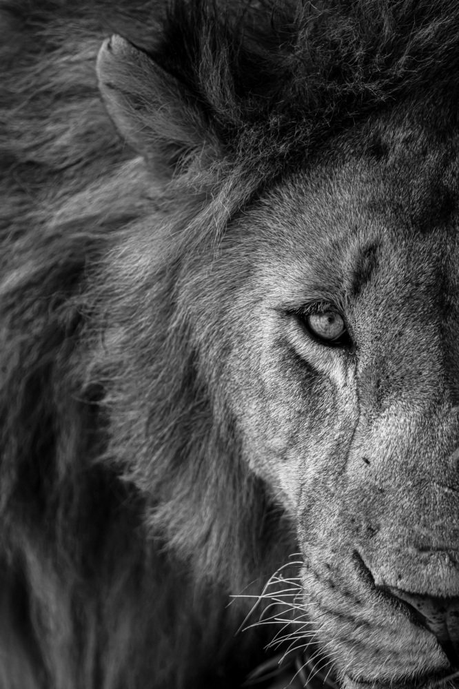 Photograph by Harshul Thacker