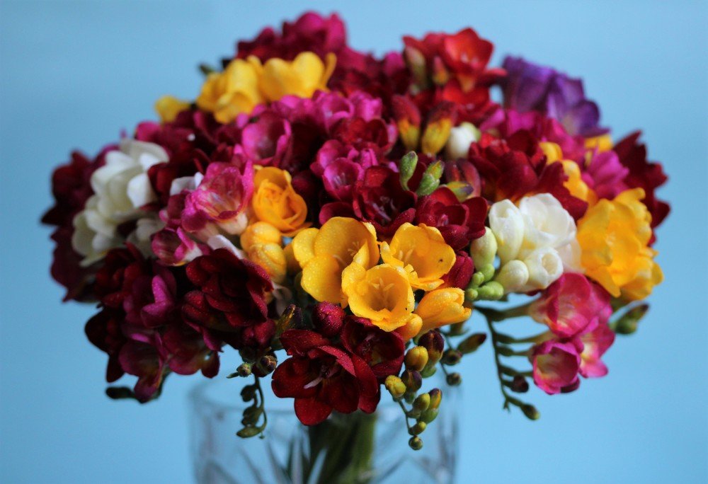 Photograph by Юлия Гудевич