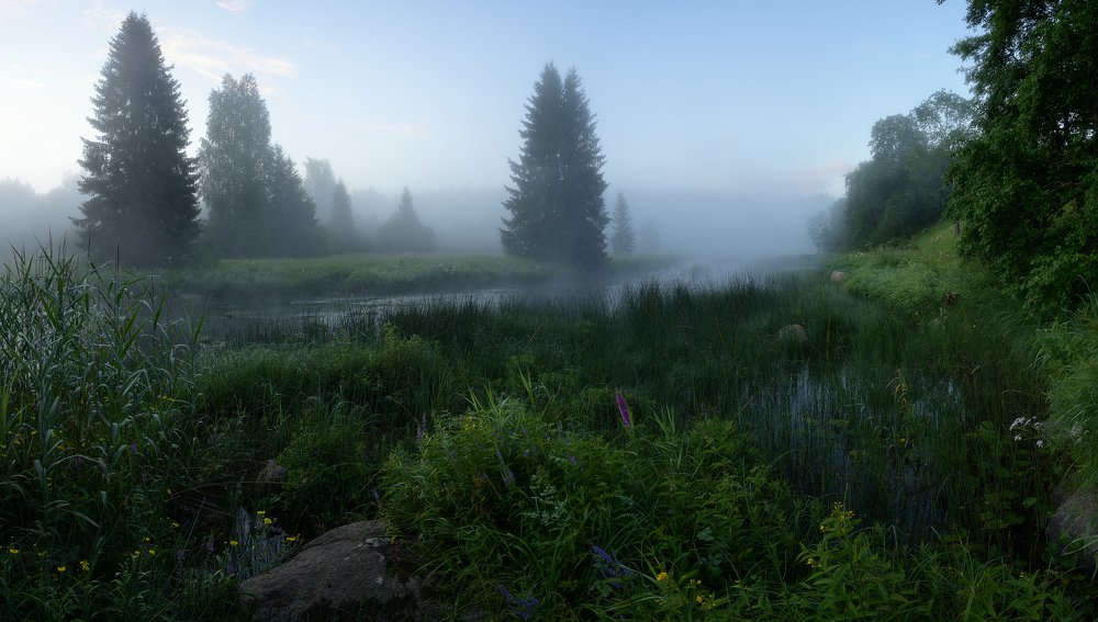 Photograph by Олег Иваницкий