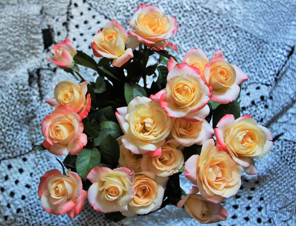 Photograph by Юлия Гудевич