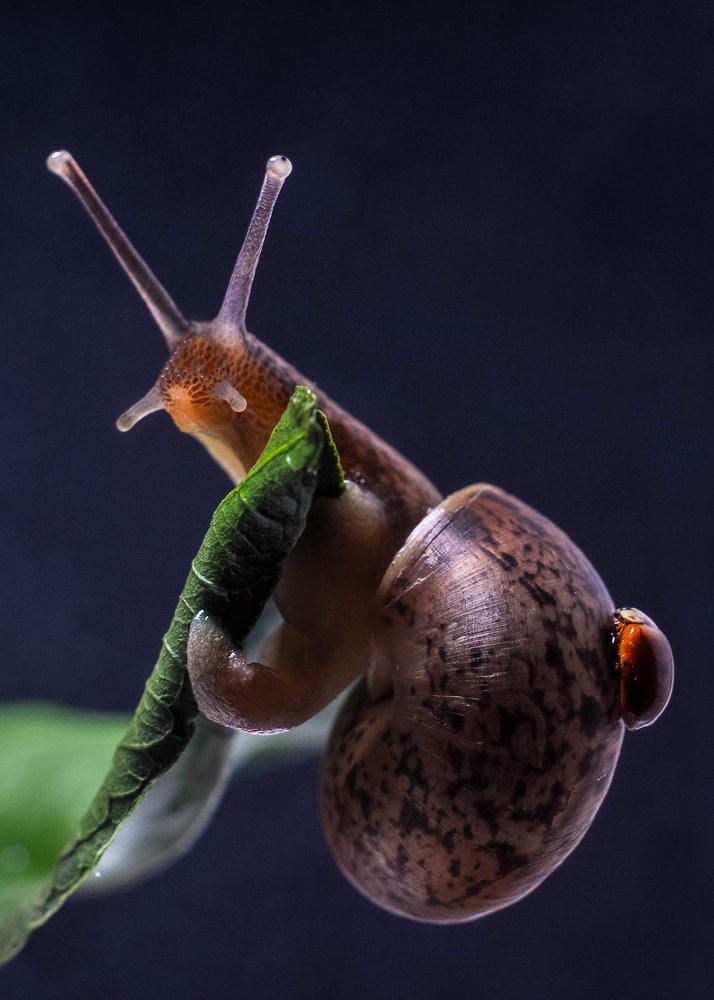 Photograph by Олеся zme