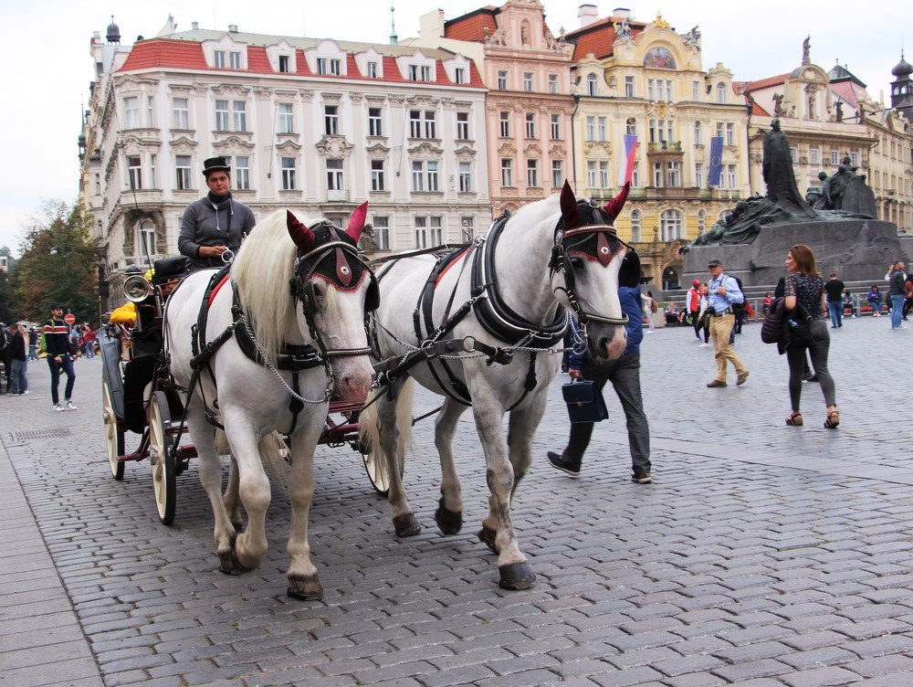 Photograph by Людмила Бутова