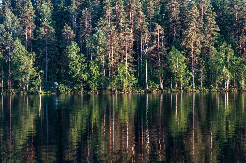 Photograph by Александр Вавулин