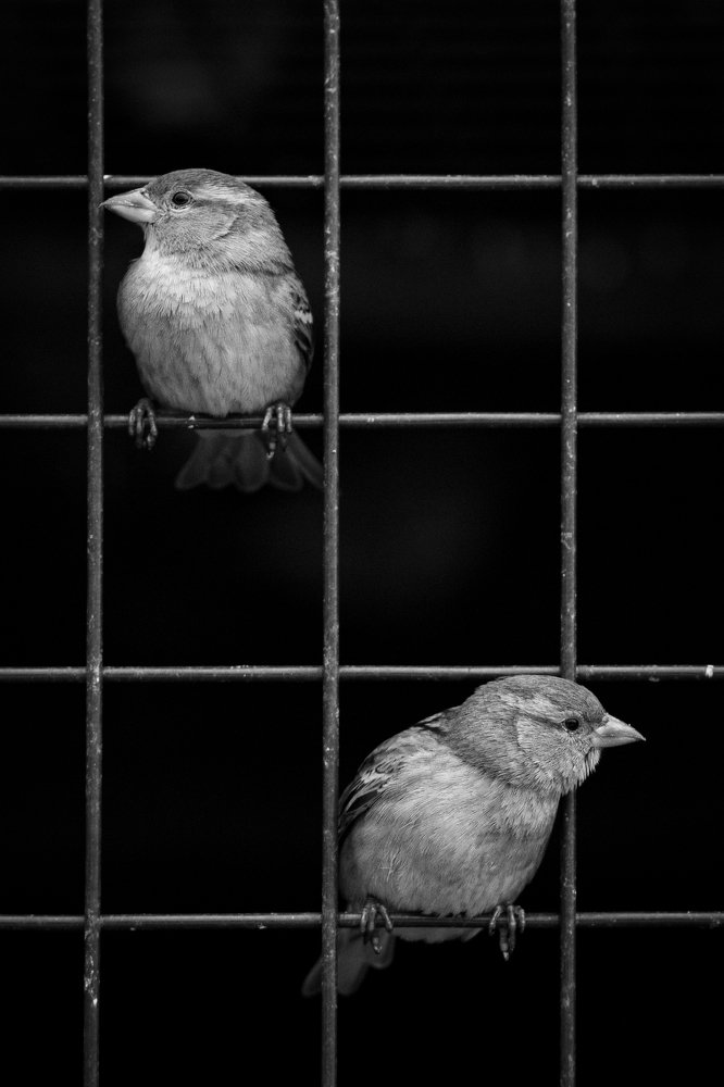 Photograph by Nazim TETİK