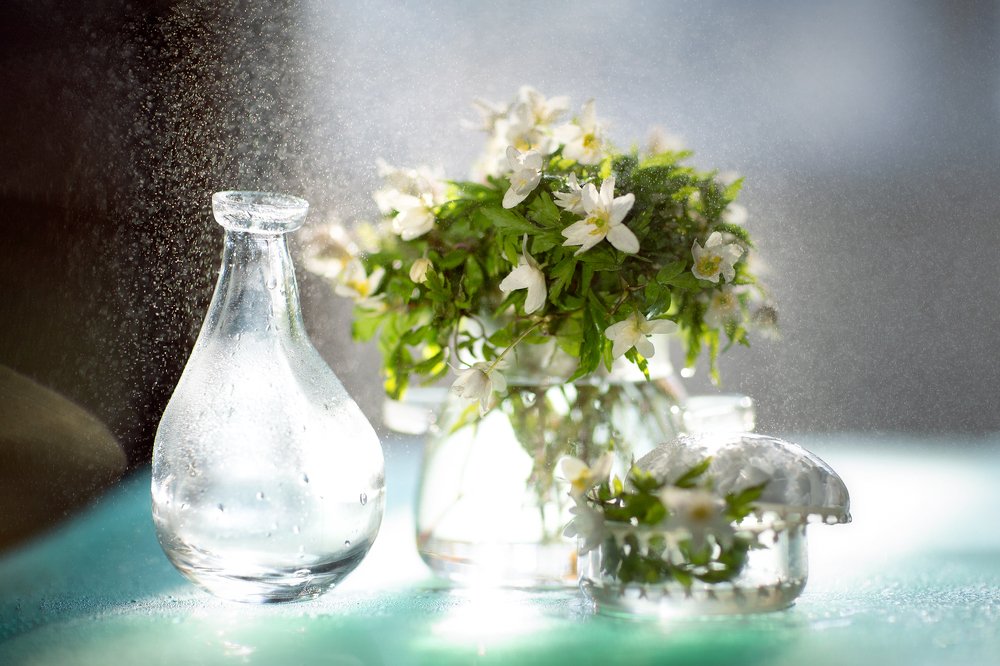 Photograph by Ольга Алтухова