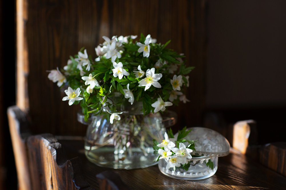 Photograph by Ольга Алтухова