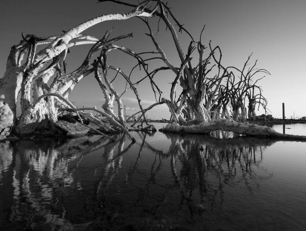 Photograph by Guillermo Losio