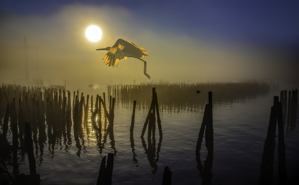 Photograph by HITTHEROAD