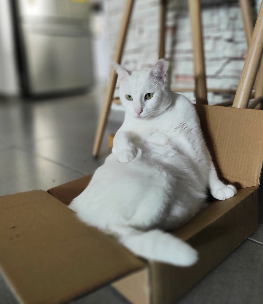 Фотография автора Marina Starovoyt