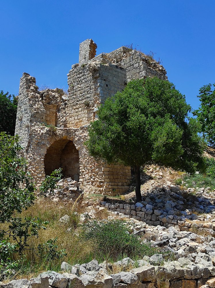 Фотография автора Marina Starovoyt