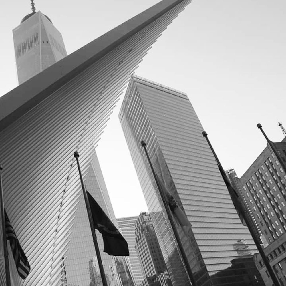 Entre Lineas y Formas