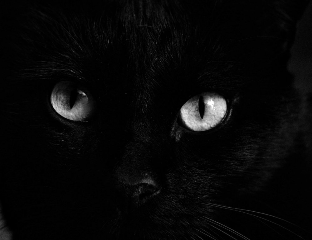 Фотография автора Justyna Jeżak