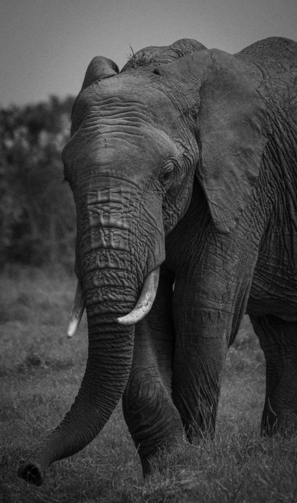 Photograph by Romi Haria